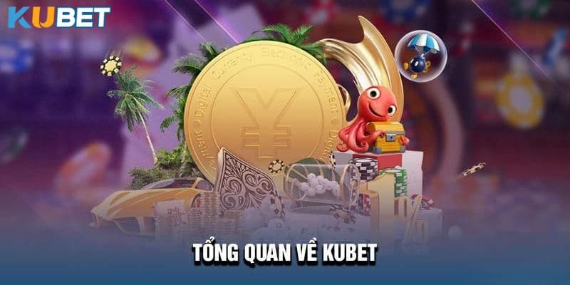 Tổng quan về thương hiệu kubet